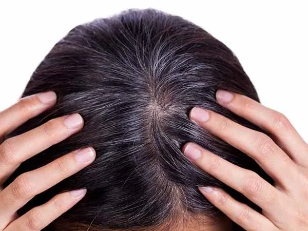 Ý nghĩa điềm báo khi nằm mơ thấy tóc bạc là gì? 1 mơ thấy tóc bạc
