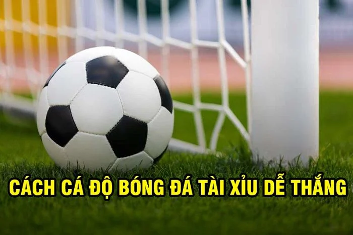 Hé lộ cách cá độ bóng đá tài xỉu dễ thắng từ các cao thủ Hé lộ cách cá độ bóng đá tài xỉu dễ thắng từ các cao thủ