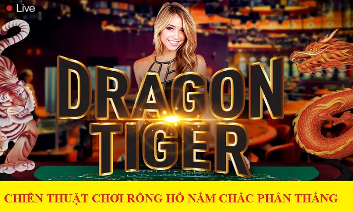 Hé lộ chiến thuật chơi rồng hổ bách chiến bách thắng Hé lộ chiến thuật chơi rồng hổ bách chiến bách thắng