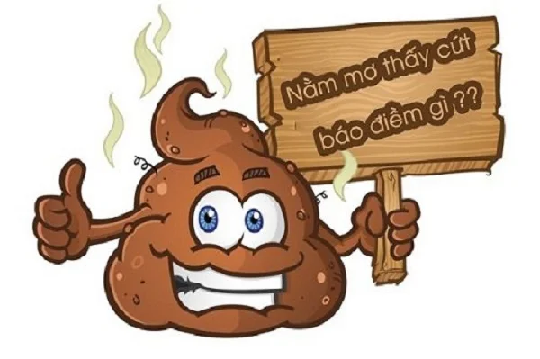 Mơ thấy cứt mang đến điềm báo gì và đánh số nào chuẩn nhất? 2 chiêm bao thấy cứt là điềm gì