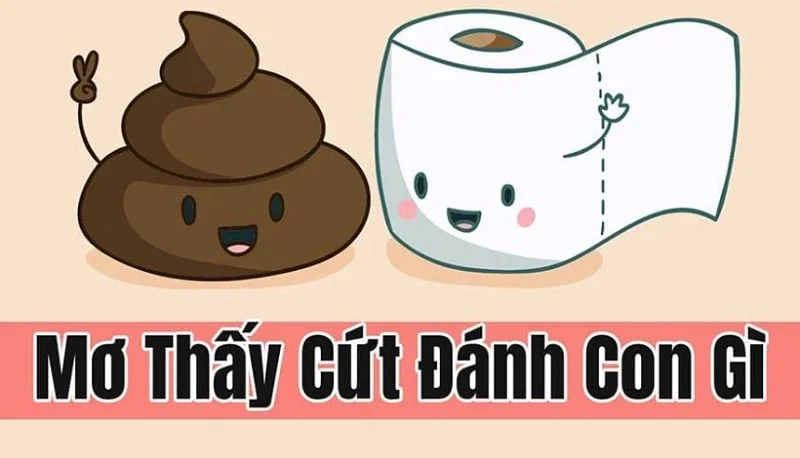 Mơ thấy cứt đánh số nào?