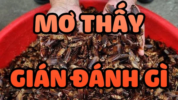 Mơ thấy gián mang đến điềm báo gì? Đánh con gì ăn chắc? mơ thấy gián đánh con gì