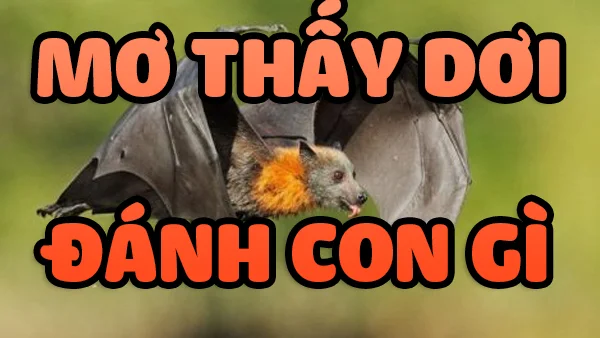 mơ thấy dơi đánh con gì