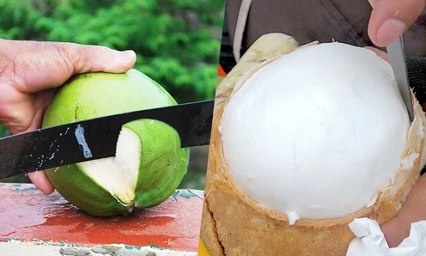 Mơ thấy quả dừa là điềm lành hay dữ? Đánh con số nào dễ trúng? 1 mơ thấy đang chặt dừa