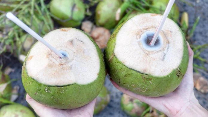 Mơ thấy quả dừa là điềm lành hay dữ? Đánh con số nào dễ trúng? Mơ thấy quả dừa là điềm báo gì?