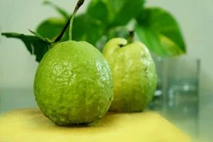 Điềm báo gì trong tương lai nếu mơ thấy quả ổi? Mơ thấy quả ổi