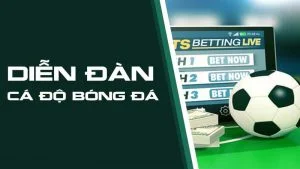 Forum cá độ bóng đá là gì? Những lợi ích khi tham gia forum cá độ? forum cá độ bóng đá là gì