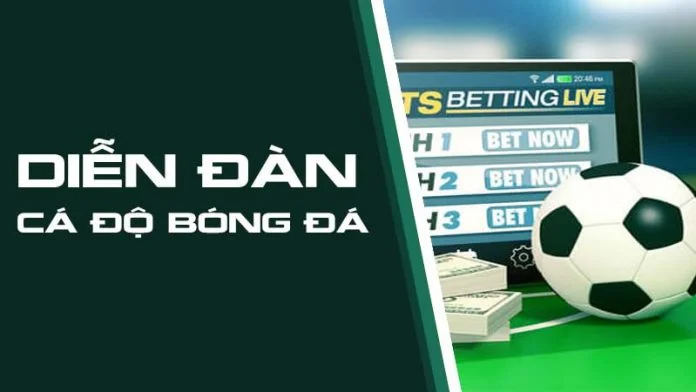Forum cá độ bóng đá là gì? Những lợi ích khi tham gia forum cá độ? forum cá độ bóng đá là gì
