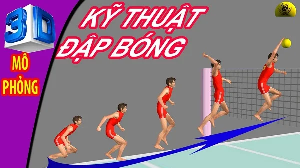 Hướng dẫn kỹ thuật đánh bóng chuyền không nên bỏ qua 3 kỹ thuật đập bóng