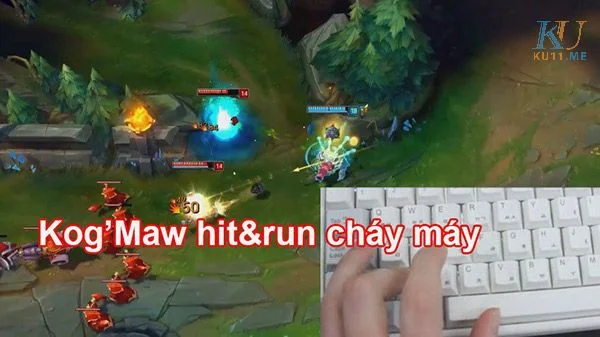 cách hit and run kog’maw