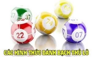 Bạch thủ lô là gì? Các hình thức đánh bạch thủ lô ba miền Các hình thức đánh bạch thủ lô