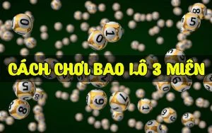 Tìm hiểu bao lô là gì? Hướng dẫn chơi bao lô ba miền bao lô ba miền