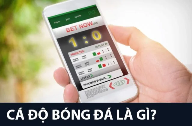 Cá độ bóng đá có tính hiệp 1 hiệp 2 không? Cược tài xỉu hiệp 1 hiệp 2