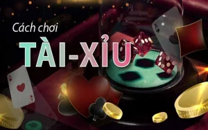 Cách chơi tài xỉu cho người mới bắt đầu chi tiết nhất Cách chơi tài xỉu