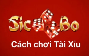 Cách chơi tài xỉu xí ngầu đơn giản mà hiệu quả Cách chơi tài xỉu xí ngầu dễ dàng mà lại hiệu quả