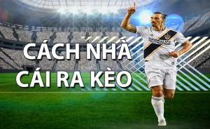 Tìm hiểu cách nhà cái ra kèo cá cược thể thao cách nhà cái ra kéo
