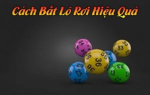 Gợi ý cho bạn những cách bắt lô rơi đầy hiệu quả nhất cách bắt lô rơi