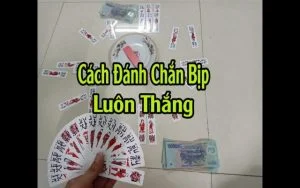 Bất Ngờ Với Hiệu Quả Của Những Cách Đánh Chắn Bịp Một số cách chơi chắn bịp phổ biến hiện nay