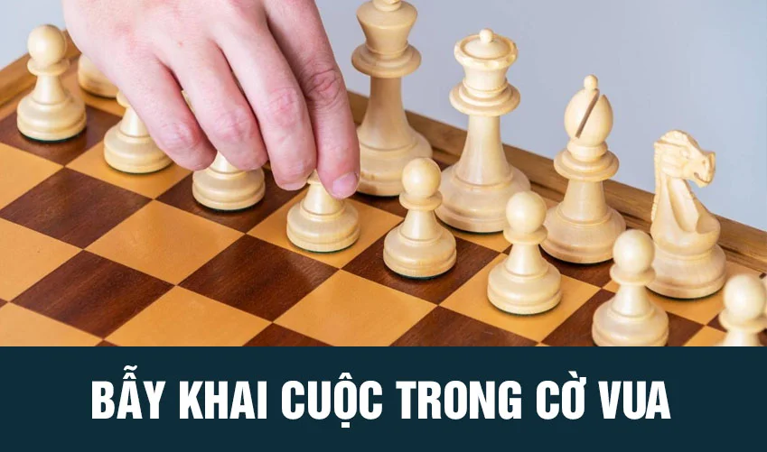 Bẫy khai cuộc trong cờ vua là gì? Mẹo chơi cờ vua cho người mới bẫy khai cuộc cờ vua