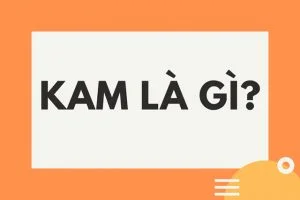 Kam là gì? Tìm hiểu trào lưu đang rất nổi trên mạng xã hội Kam là gì?