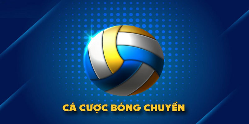 Cá cược bóng chuyền Kubet11 loại hình cá cược hấp dẫn